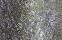 Drinkstone fibreglass roof work